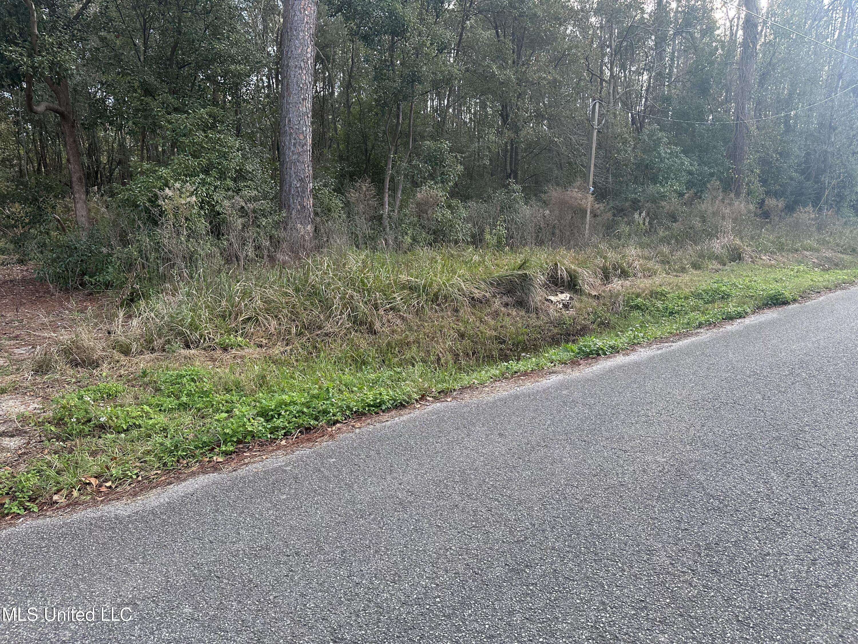 6461 Simmons Drive Long Beach, MS 39560 - Photo 4 of 4 IMG_3904