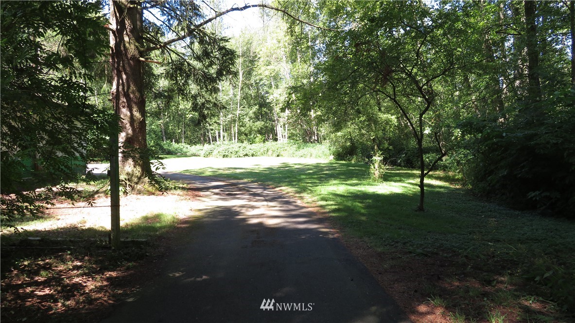 2058 Willeys Lake Road Custer, WA 98240 - Photo 11 of 25 a view of a yard with a tree