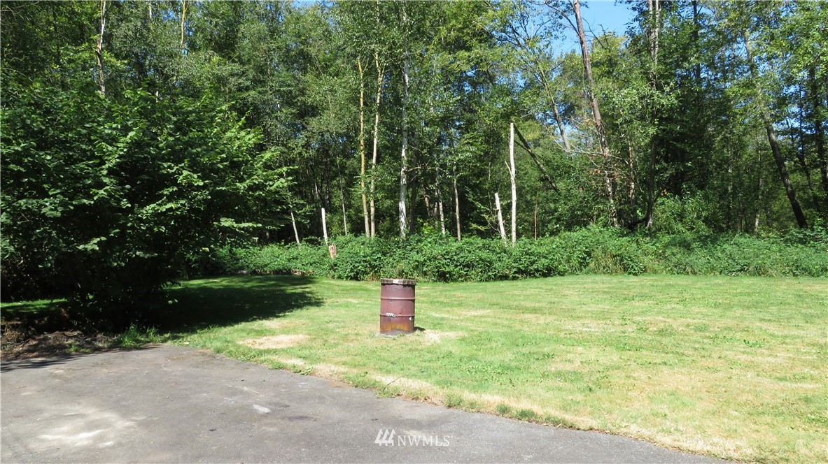 2058 Willeys Lake Road Custer, WA 98240 - Photo 15 of 25 a fire hydrant in the middle of a field