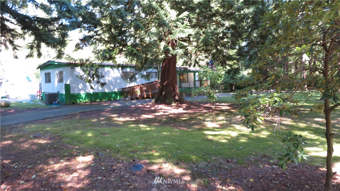 2058 Willeys Lake Road Custer, WA 98240 - Photo 4 of 25 a view of a tree in front of a house