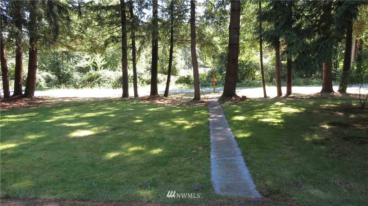2058 Willeys Lake Road Custer, WA 98240 - Photo 7 of 25 a view of a trees with a yard
