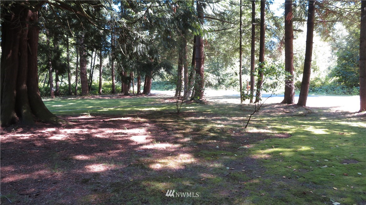 2058 Willeys Lake Road Custer, WA 98240 - Photo 10 of 25 a view of a tree in the middle of a yard