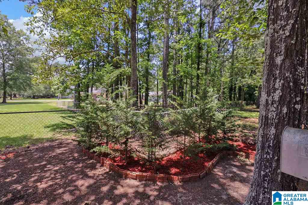 115 Turman Street Rainbow City, AL 35906 - Photo 43 of 46