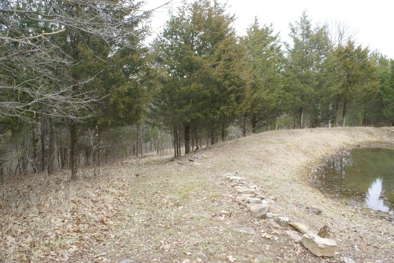 1990 Kays Branch Road Owenton, KY 40359 - Photo 3 of 17 Gallery Image 3