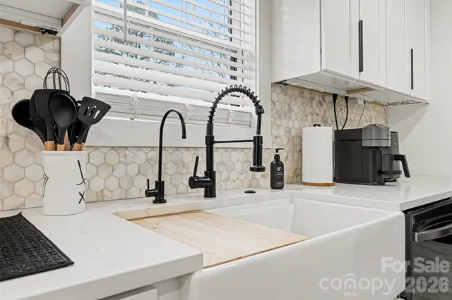 a kitchen with a sink and a stove with a potted plant