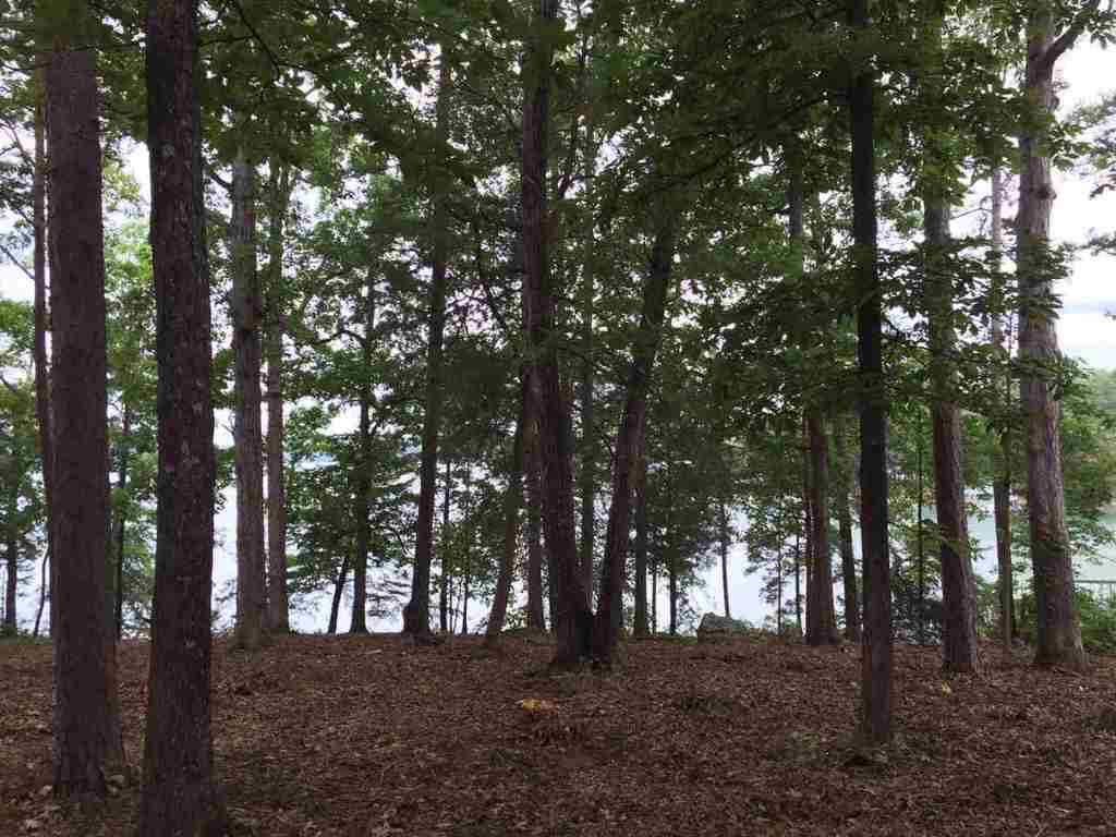 746 Navigator's Point, Unit LOT 100 BEACON SHORES Seneca, SC 29672 - Photo 10 of 20 Gallery Image 10