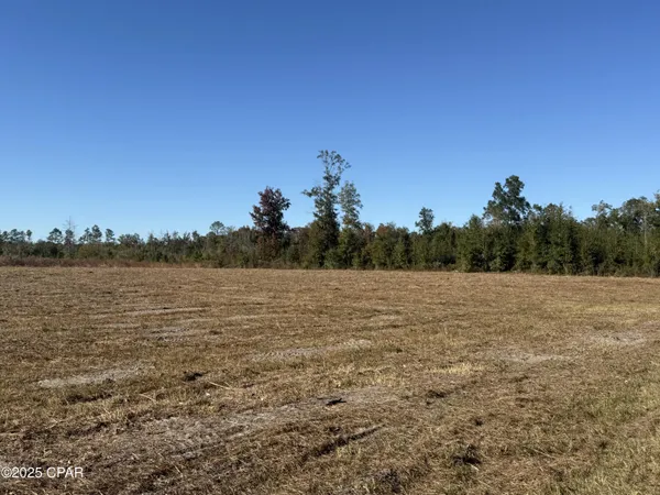 $59,000 | Lot 1 Hwy 71 Wewahitchka, Wewahitchka, FL 32465