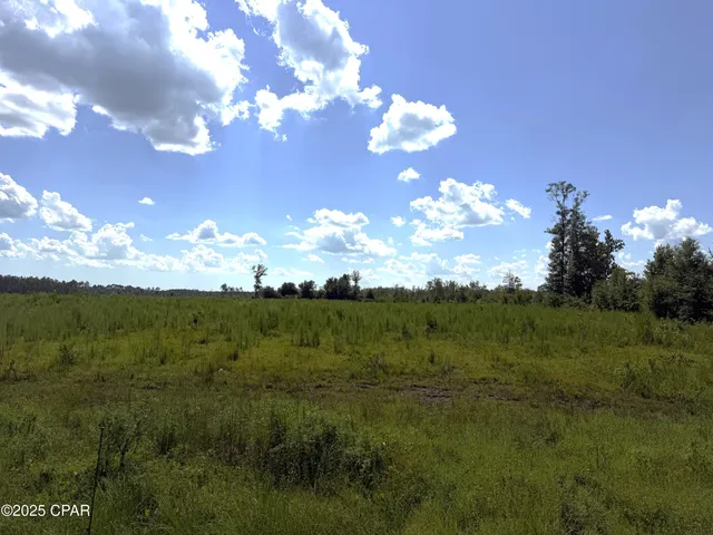 $59,000 | Lot 1 Hwy 71 Wewahitchka, Wewahitchka, FL 32465