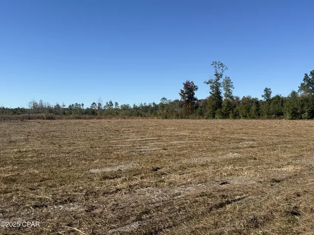 $59,000 | Lot 1 Hwy 71 Wewahitchka, Wewahitchka, FL 32465