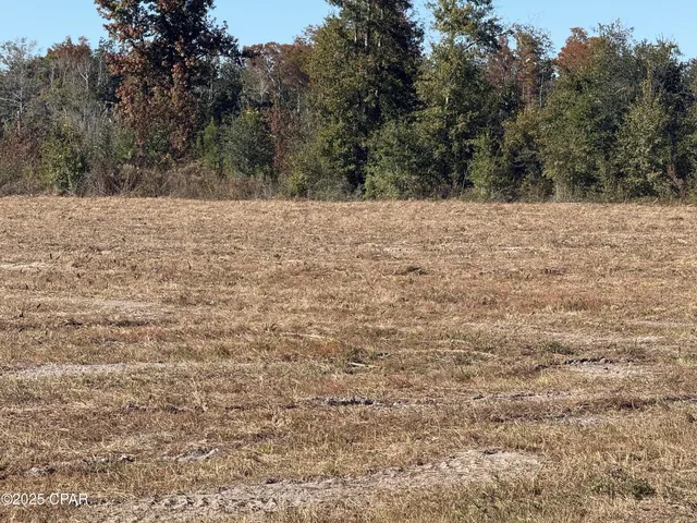 $59,000 | Lot 1 Hwy 71 Wewahitchka, Wewahitchka, FL 32465