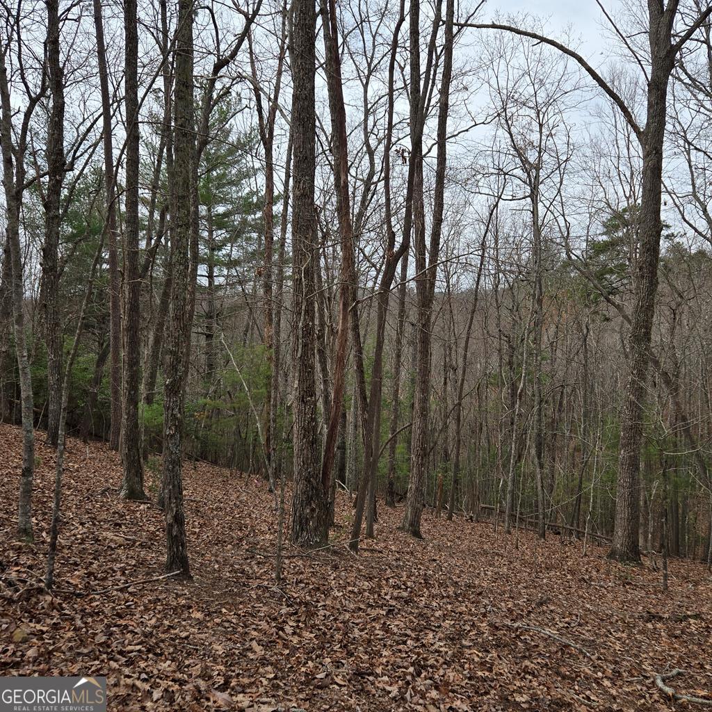 8.5 Blue Berry Ridge Morganton, GA 30560 - Photo 1 of 29