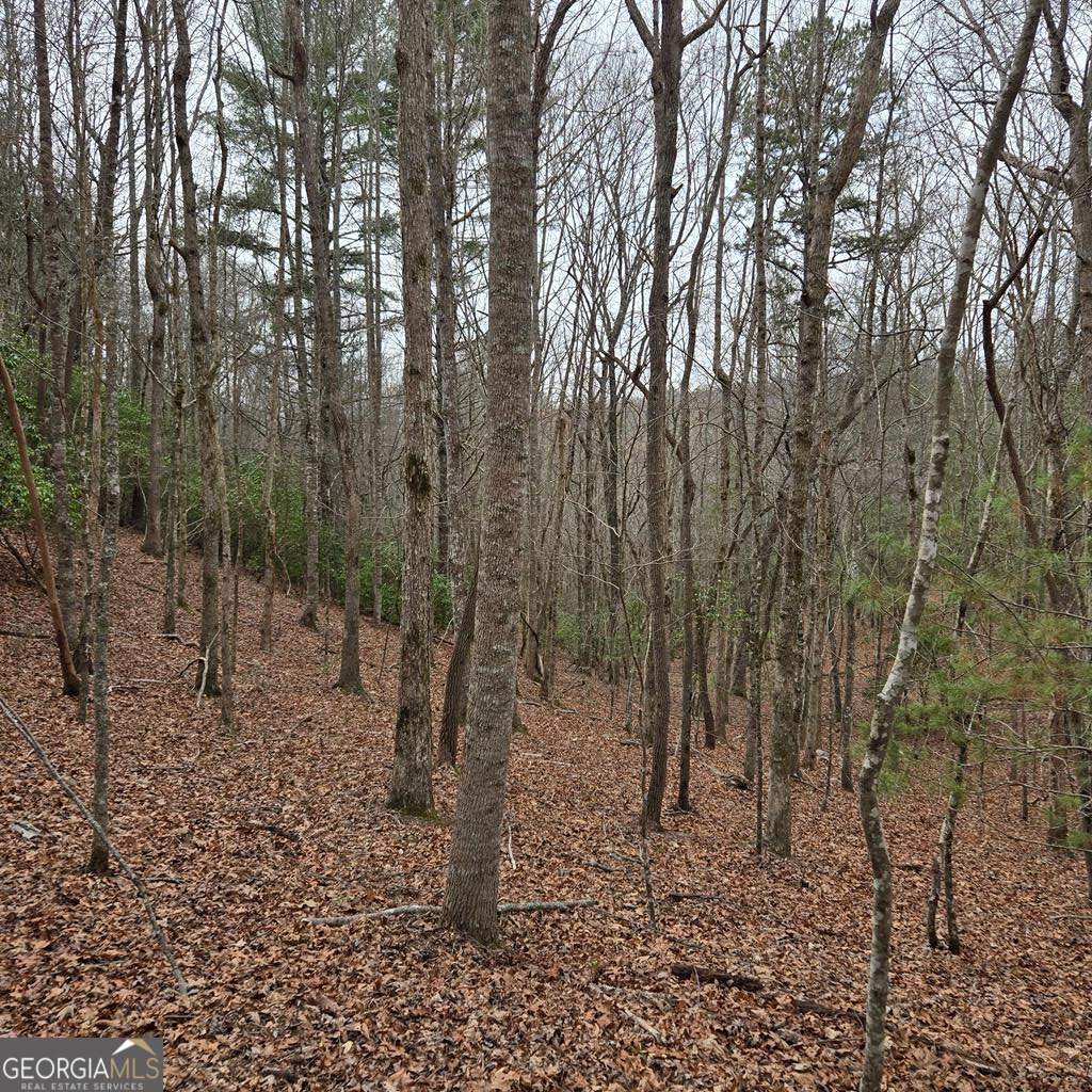 8.5 Blue Berry Ridge Morganton, GA 30560 - Photo 11 of 29