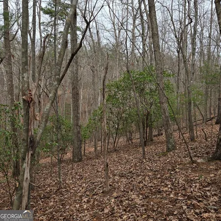 $375,000 | 8.5 Blue Berry Ridge, Morganton, GA 30560