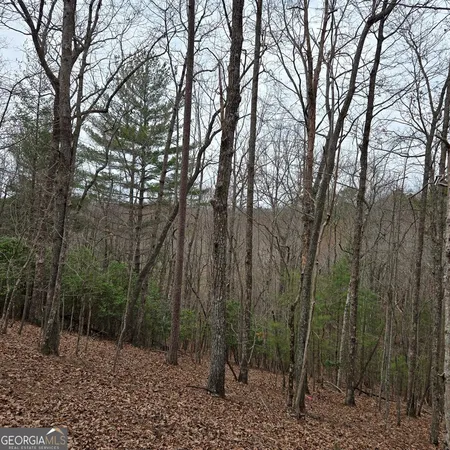 $375,000 | 8.5 Blue Berry Ridge, Morganton, GA 30560