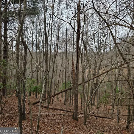 $375,000 | 8.5 Blue Berry Ridge, Morganton, GA 30560