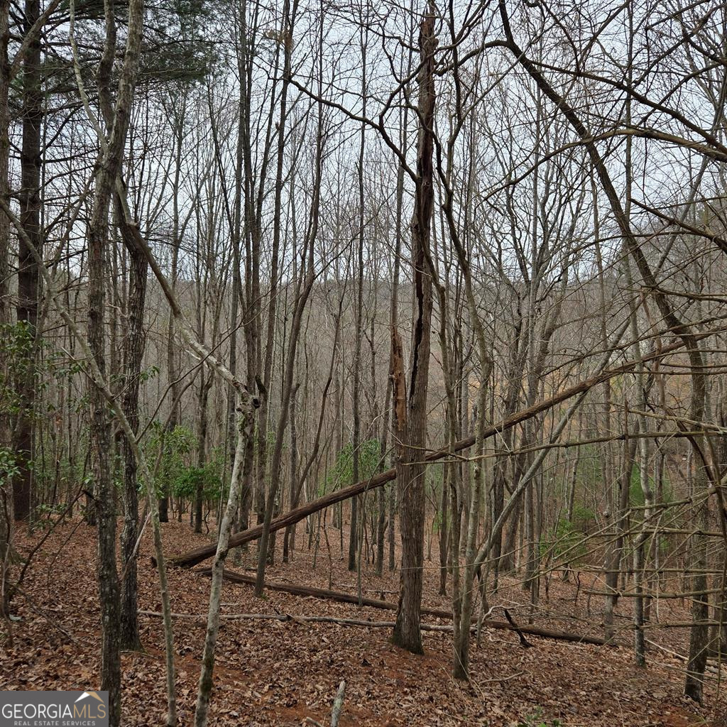 8.5 Blue Berry Ridge Morganton, GA 30560 - Photo 14 of 29