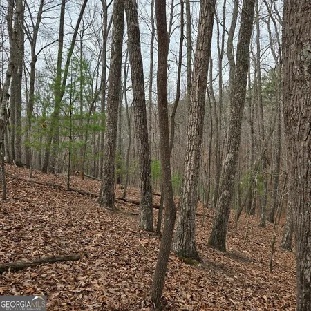 $375,000 | 8.5 Blue Berry Ridge, Morganton, GA 30560