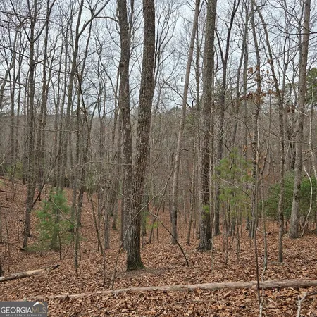 $375,000 | 8.5 Blue Berry Ridge, Morganton, GA 30560