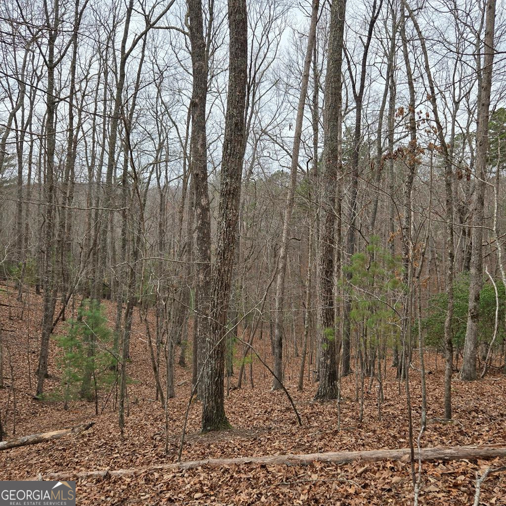 8.5 Blue Berry Ridge Morganton, GA 30560 - Photo 16 of 29