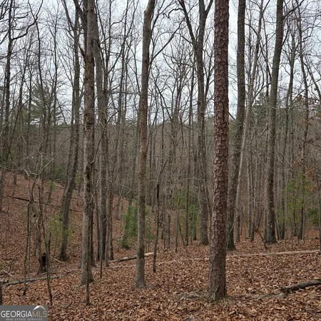 $375,000 | 8.5 Blue Berry Ridge, Morganton, GA 30560