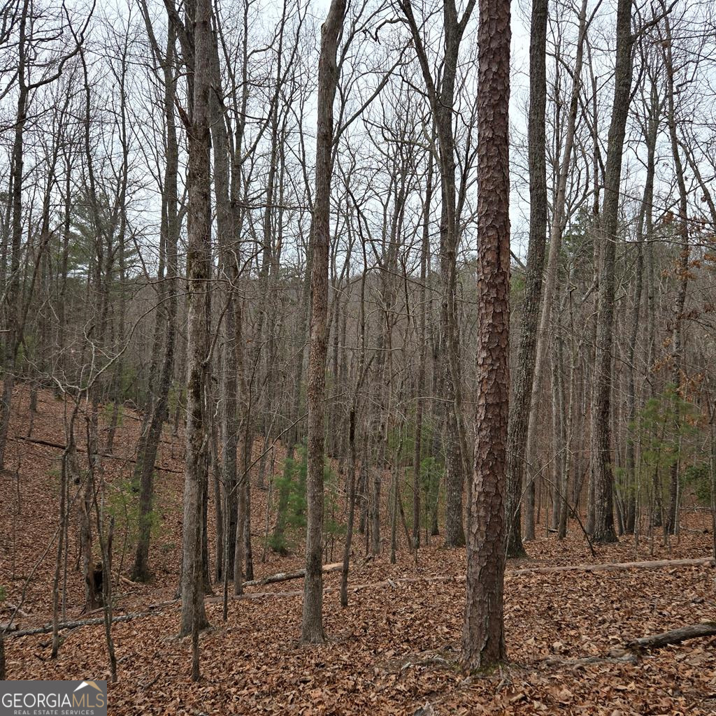 8.5 Blue Berry Ridge Morganton, GA 30560 - Photo 17 of 29