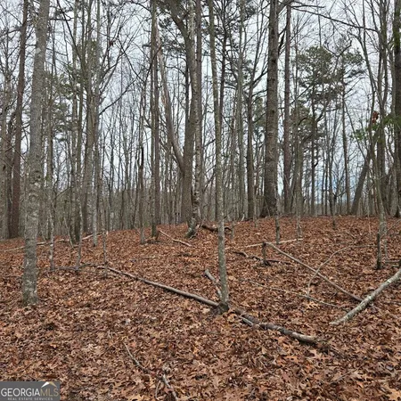 $375,000 | 8.5 Blue Berry Ridge, Morganton, GA 30560