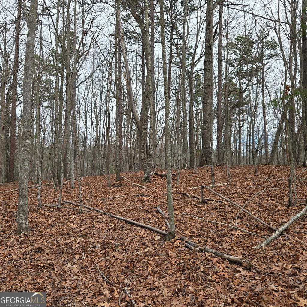 8.5 Blue Berry Ridge Morganton, GA 30560 - Photo 18 of 29