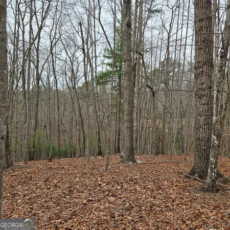 $375,000 | 8.5 Blue Berry Ridge, Morganton, GA 30560