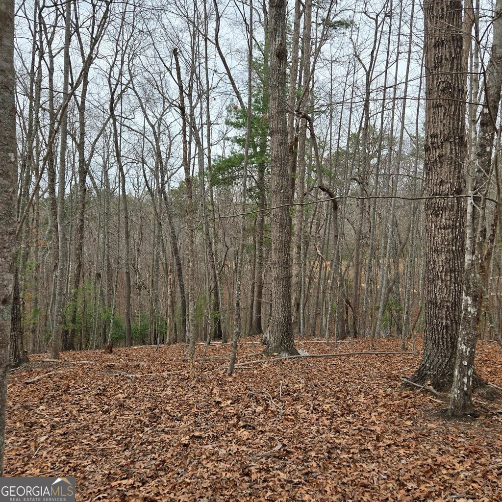 8.5 Blue Berry Ridge Morganton, GA 30560 - Photo 19 of 29