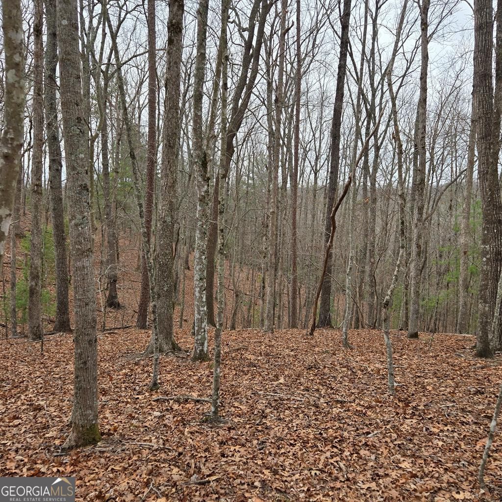 8.5 Blue Berry Ridge Morganton, GA 30560 - Photo 20 of 29