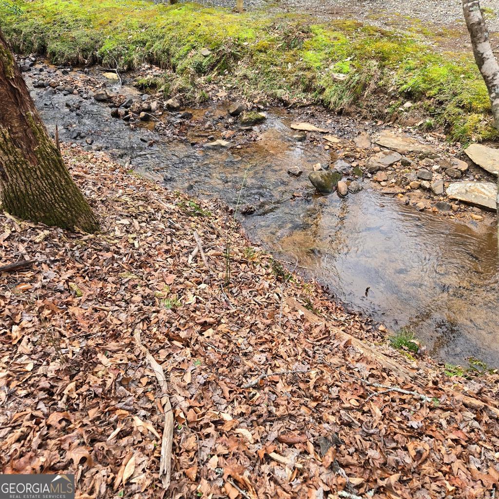 8.5 Blue Berry Ridge Morganton, GA 30560 - Photo 2 of 29