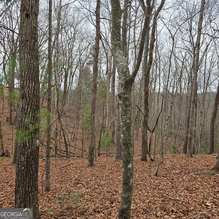 $375,000 | 8.5 Blue Berry Ridge, Morganton, GA 30560