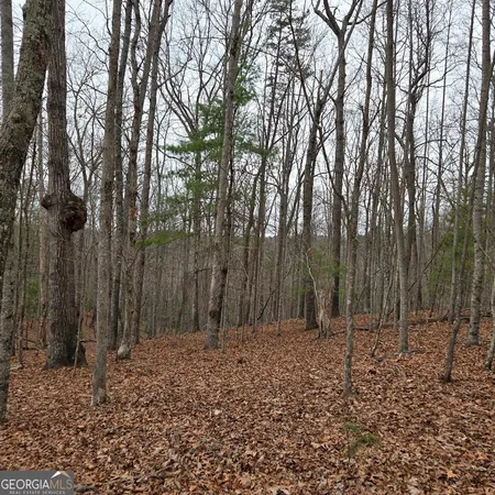 $375,000 | 8.5 Blue Berry Ridge, Morganton, GA 30560