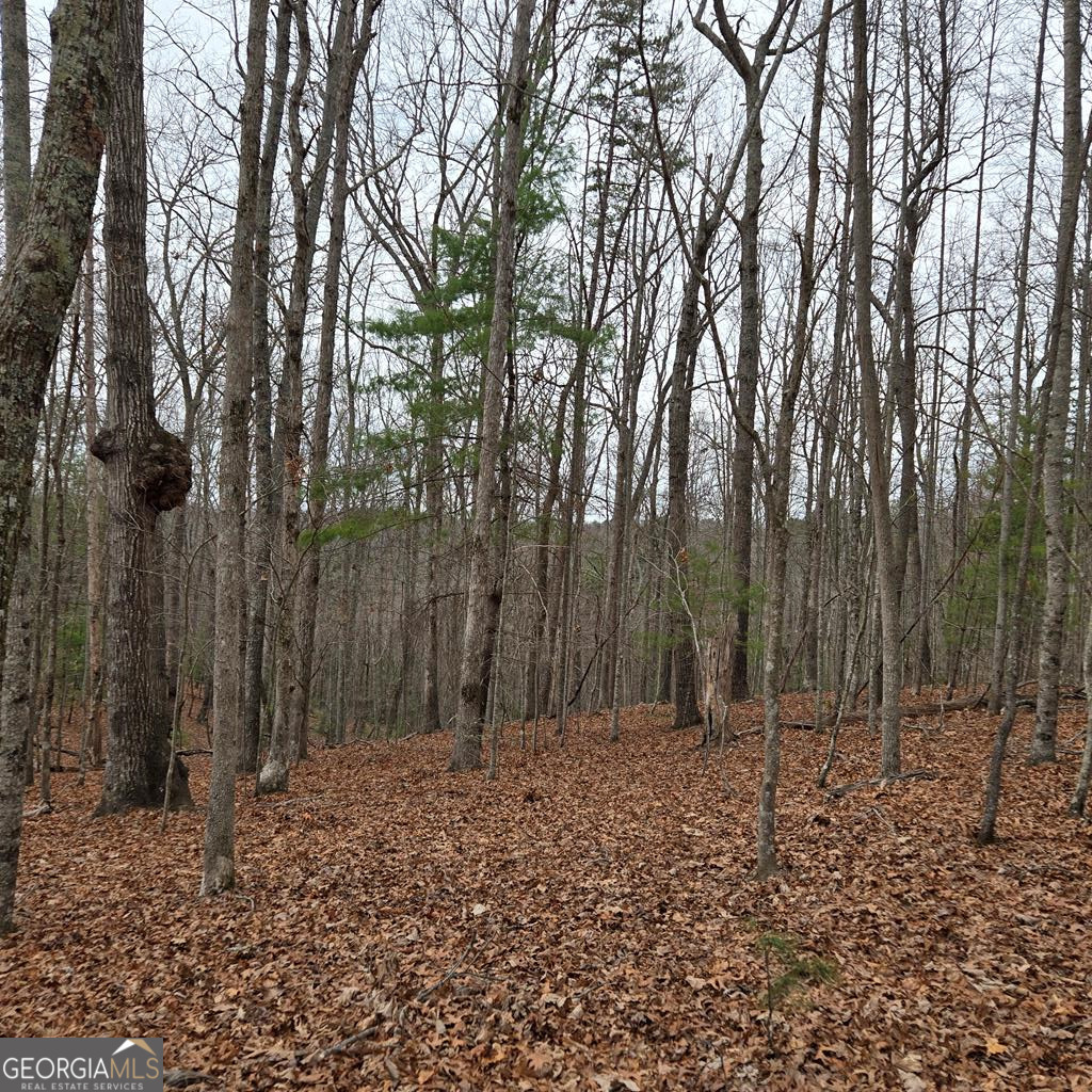 8.5 Blue Berry Ridge Morganton, GA 30560 - Photo 22 of 29