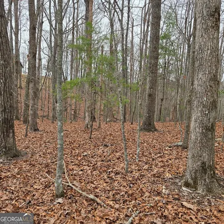 $375,000 | 8.5 Blue Berry Ridge, Morganton, GA 30560