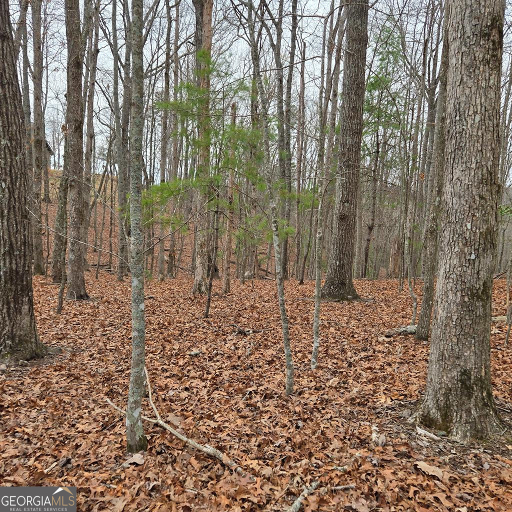 8.5 Blue Berry Ridge Morganton, GA 30560 - Photo 23 of 29