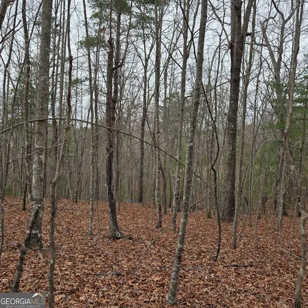$375,000 | 8.5 Blue Berry Ridge, Morganton, GA 30560