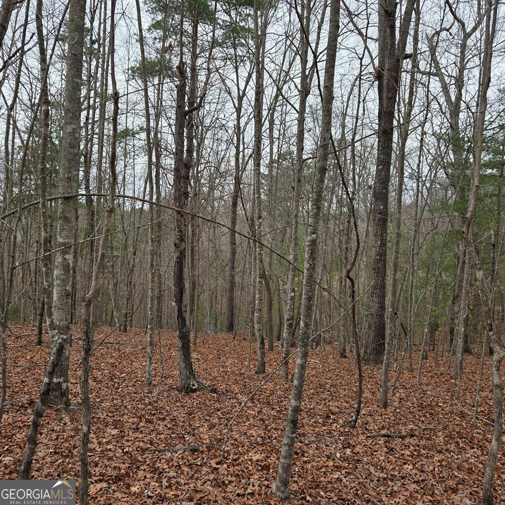 8.5 Blue Berry Ridge Morganton, GA 30560 - Photo 24 of 29