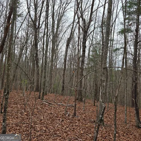 $375,000 | 8.5 Blue Berry Ridge, Morganton, GA 30560