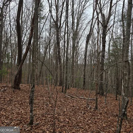 $375,000 | 8.5 Blue Berry Ridge, Morganton, GA 30560
