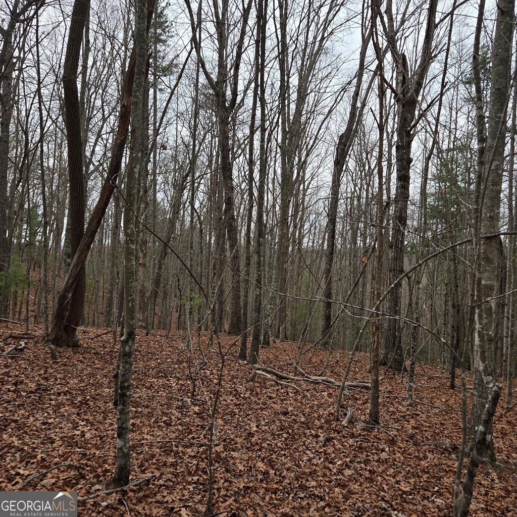 8.5 Blue Berry Ridge Morganton, GA 30560 - Photo 26 of 29