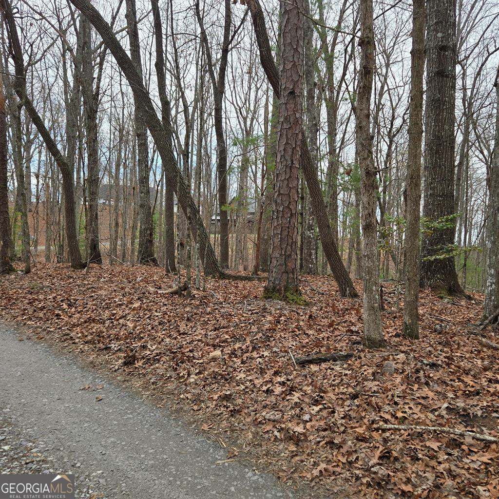 8.5 Blue Berry Ridge Morganton, GA 30560 - Photo 27 of 29