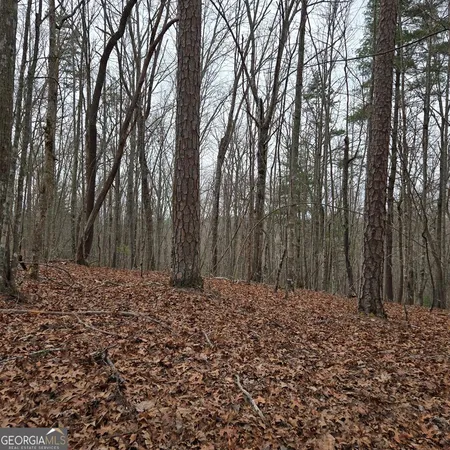 $375,000 | 8.5 Blue Berry Ridge, Morganton, GA 30560