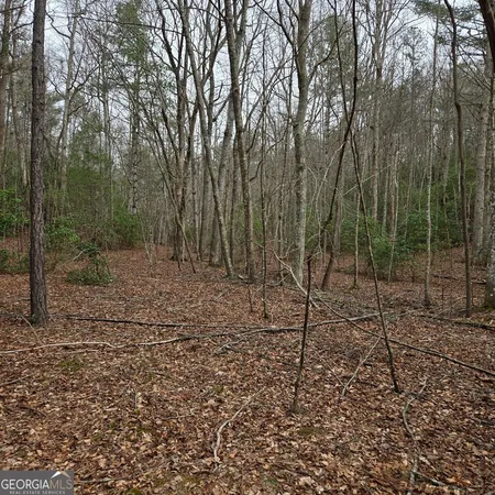 $375,000 | 8.5 Blue Berry Ridge, Morganton, GA 30560
