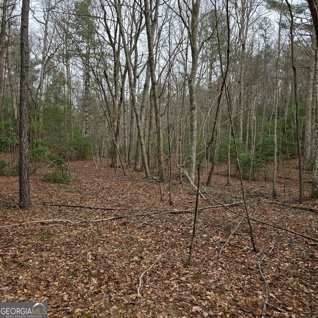 8.5 Blue Berry Ridge Morganton, GA 30560 - Photo 3 of 29