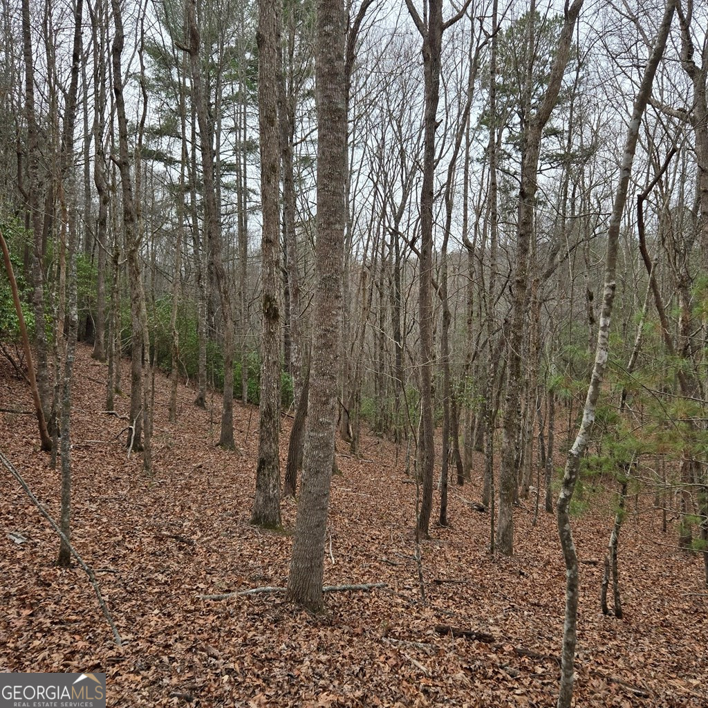 8.5 Blue Berry Ridge Morganton, GA 30560 - Photo 5 of 29