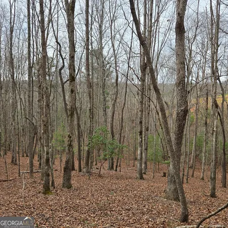 $375,000 | 8.5 Blue Berry Ridge, Morganton, GA 30560