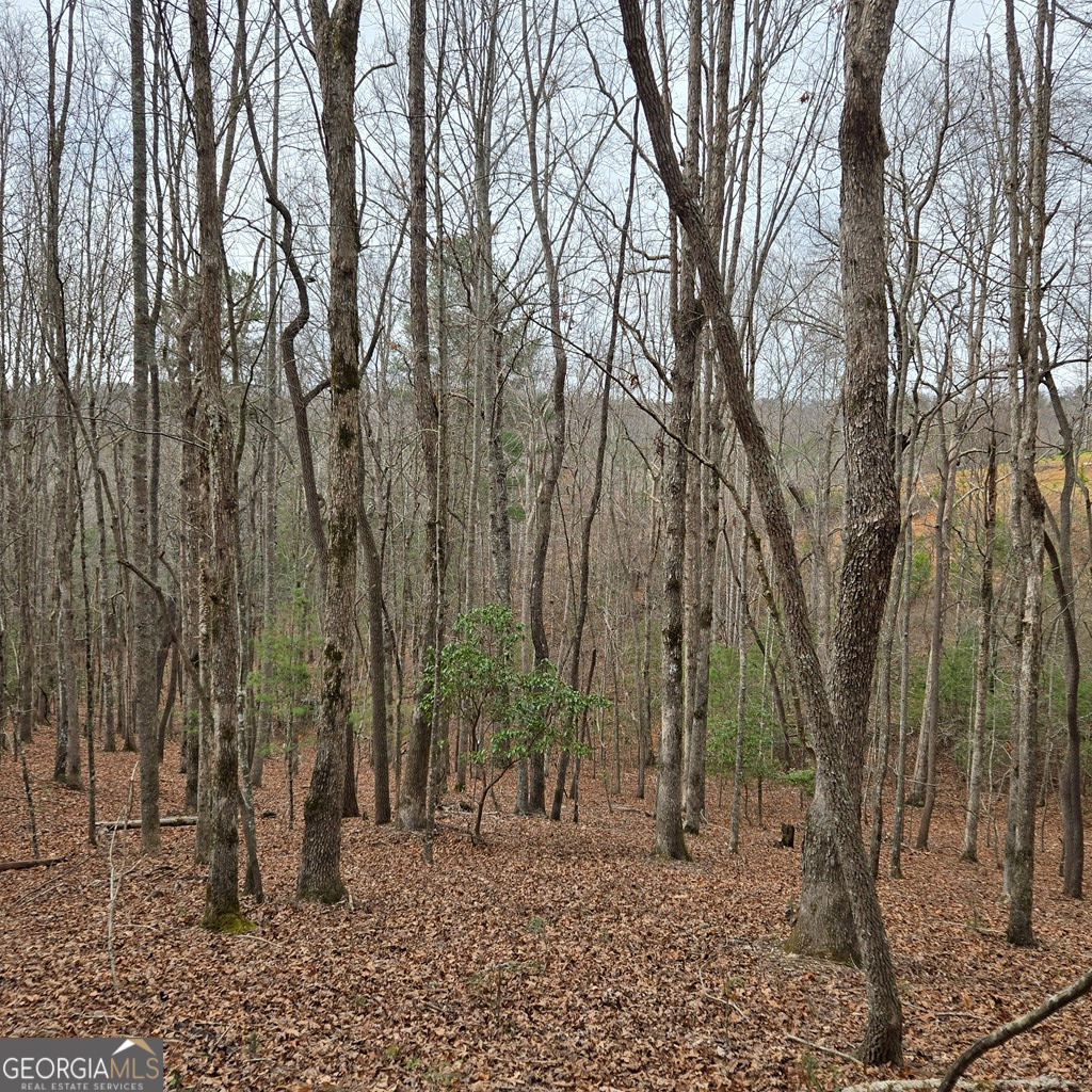 8.5 Blue Berry Ridge Morganton, GA 30560 - Photo 6 of 29