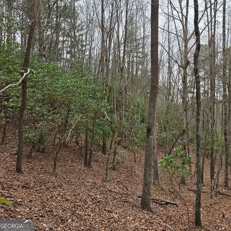 $375,000 | 8.5 Blue Berry Ridge, Morganton, GA 30560
