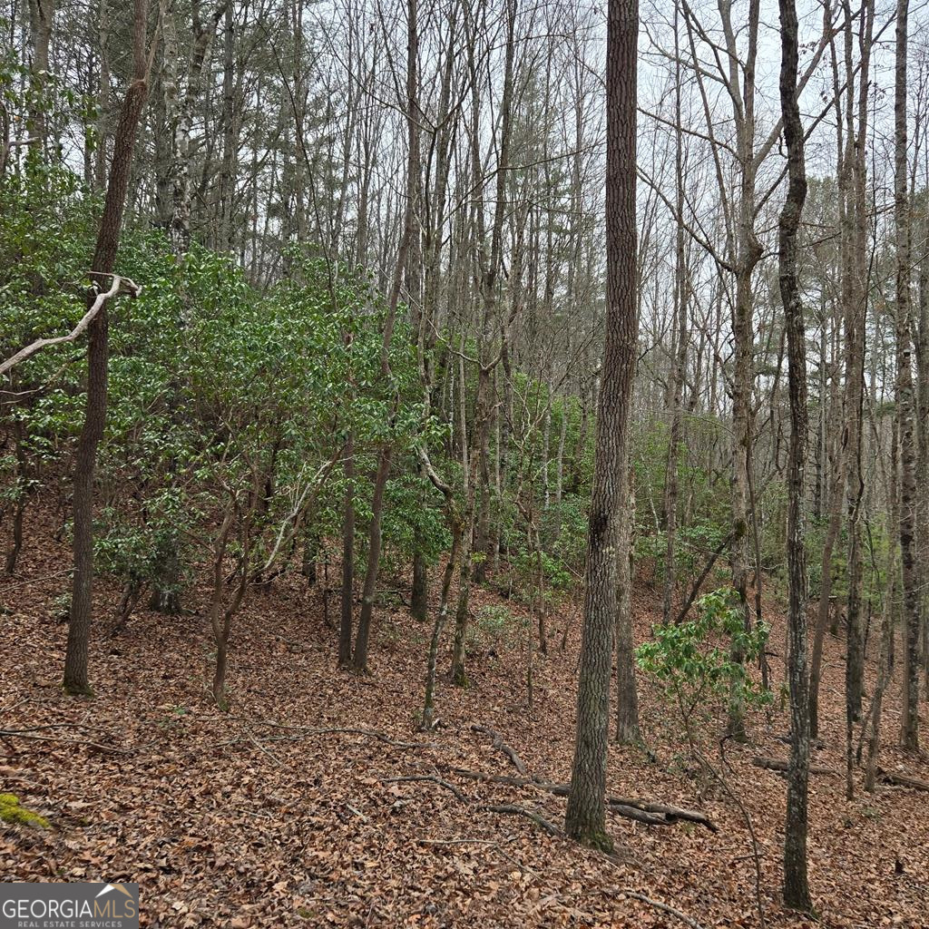 8.5 Blue Berry Ridge Morganton, GA 30560 - Photo 7 of 29